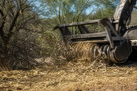 Drum mulcher grinding through a mesquite thicket along a dry wash, wood chips arcing in the sunlight with palo verde standing untouched behind